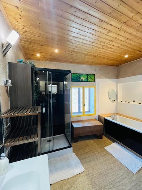 Maison De Village, Jacuzzi, Salle Cinema Valencin